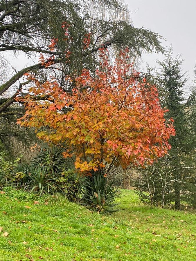 Domaine Le Manoir, Gites De Charme Et De Caractere Avec Piscines Privatisees Et Spa Nordique Fossemagne Kültér fotó