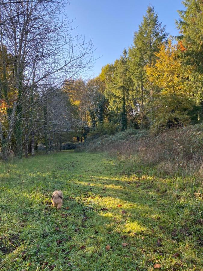 Domaine Le Manoir, Gites De Charme Et De Caractere Avec Piscines Privatisees Et Spa Nordique Fossemagne Kültér fotó