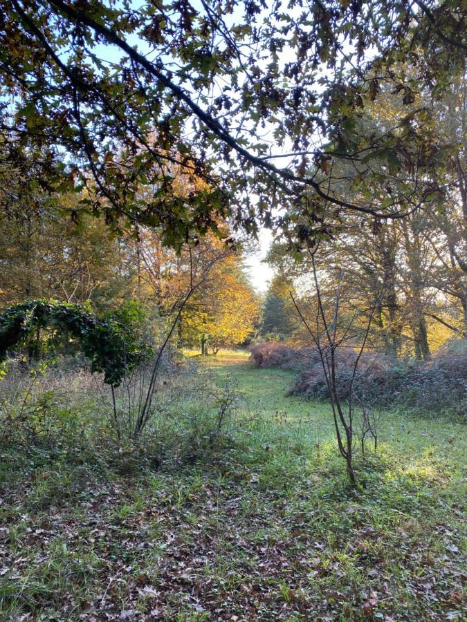 Domaine Le Manoir, Gites De Charme Et De Caractere Avec Piscines Privatisees Et Spa Nordique Fossemagne Kültér fotó