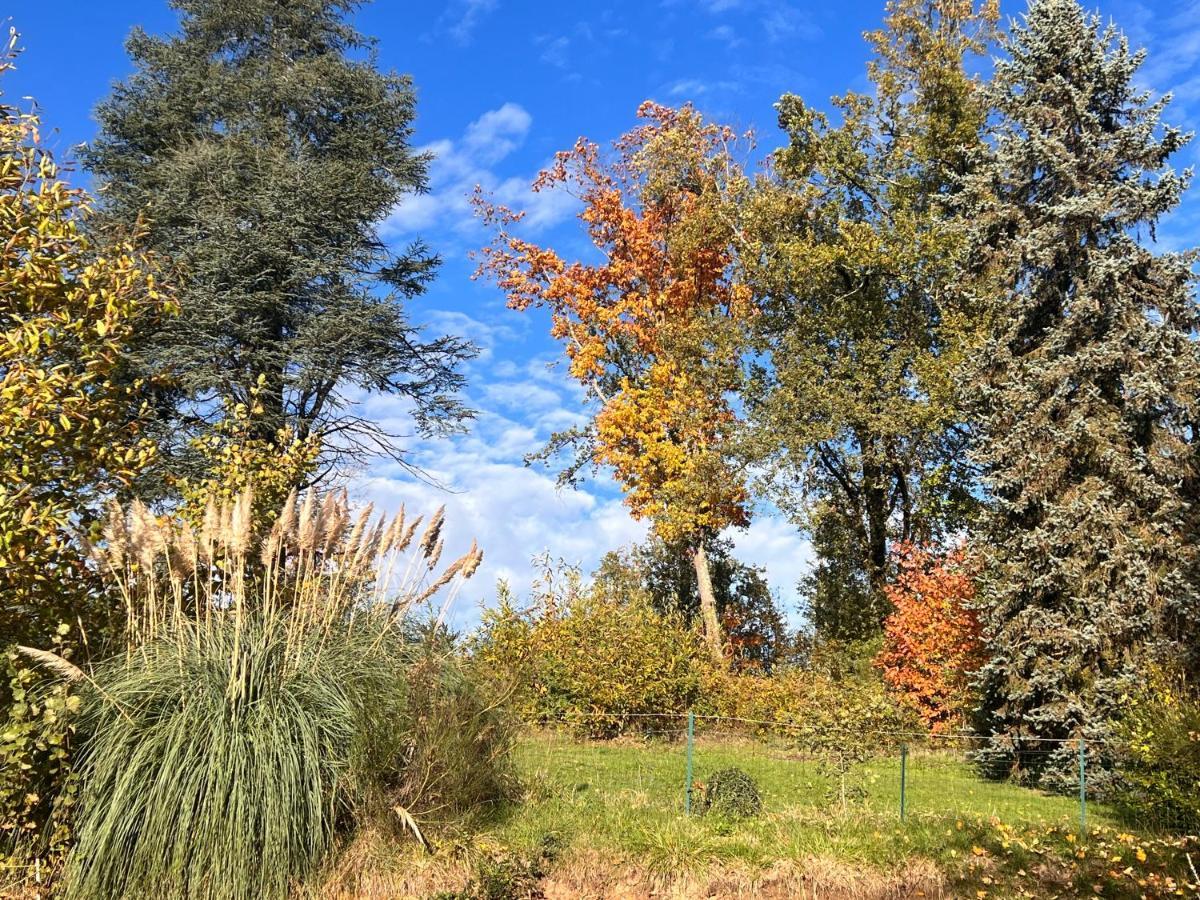 Domaine Le Manoir, Gites De Charme Et De Caractere Avec Piscines Privatisees Et Spa Nordique Fossemagne Kültér fotó