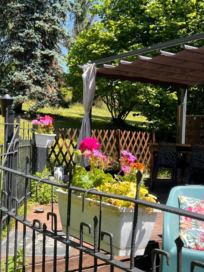 Domaine Le Manoir, Gites De Charme Et De Caractere Avec Piscines Privatisees Et Spa Nordique Fossemagne Kültér fotó